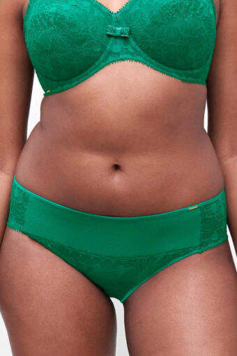 Majtki Chantelle Day to Night Tai Brief C15F30